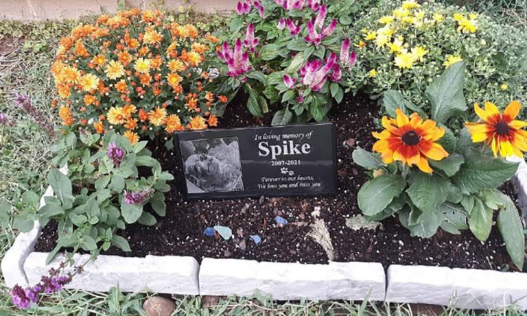 Photo and Name Engraved Pet Memorial Grave Marker